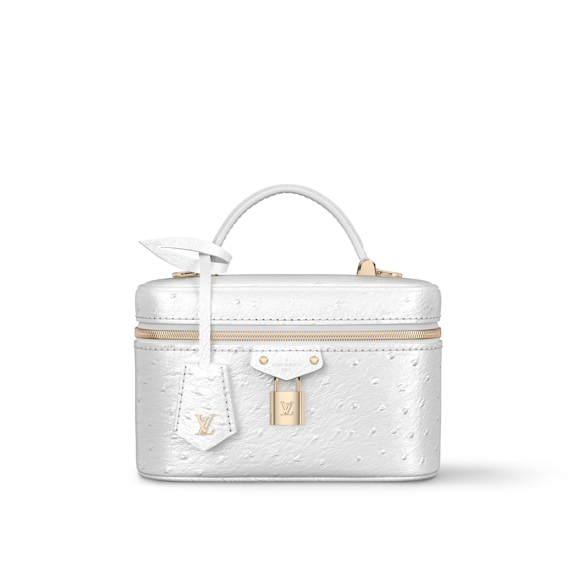 Túi Vanity Chain Pouch Autruche in Đồ Nữ