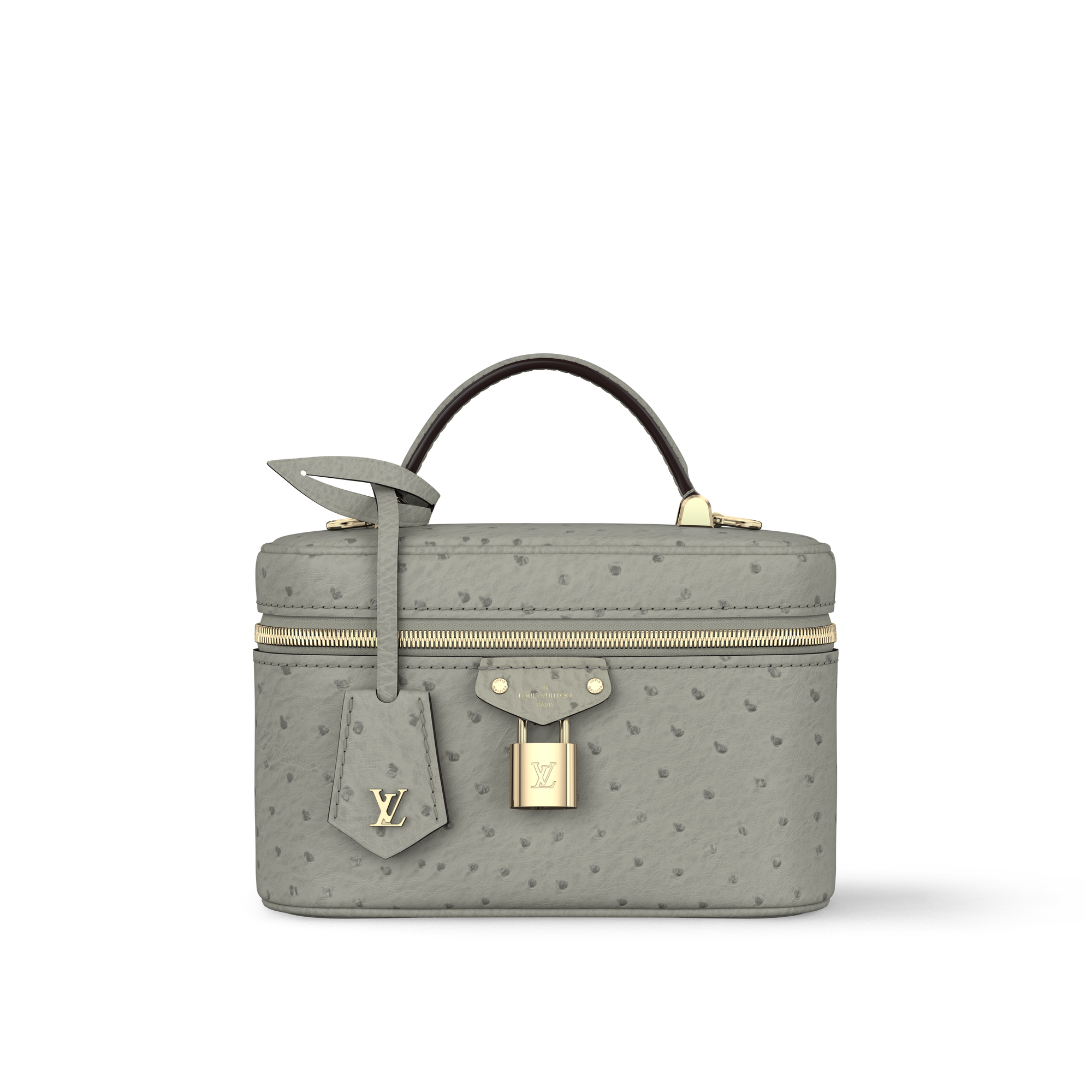 Túi Vanity Chain Pouch Autruche in Đồ Nữ