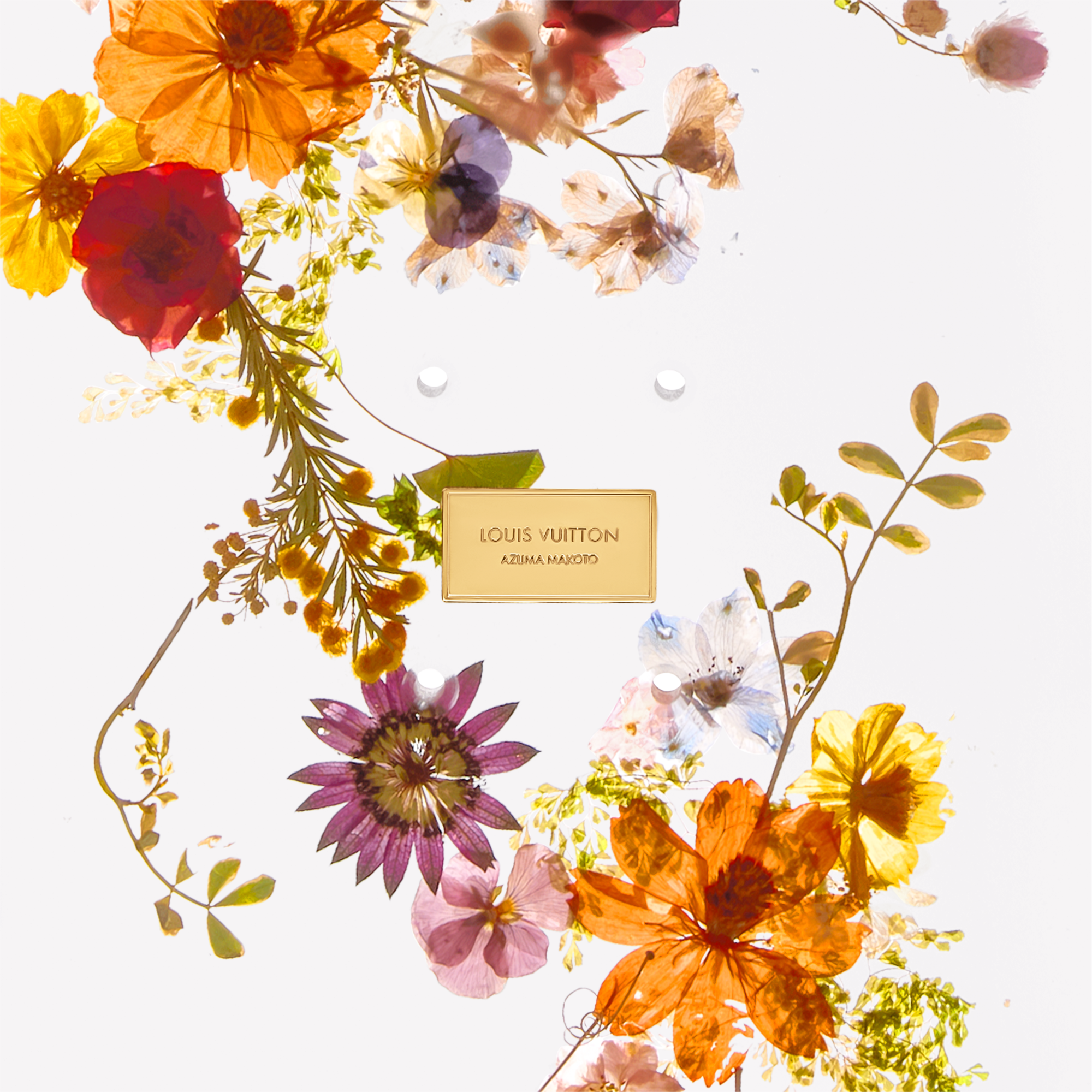 Ván Trượt Whisper of Spring . in Rương, Phụ kiện du lịch và Trang trí nội thất